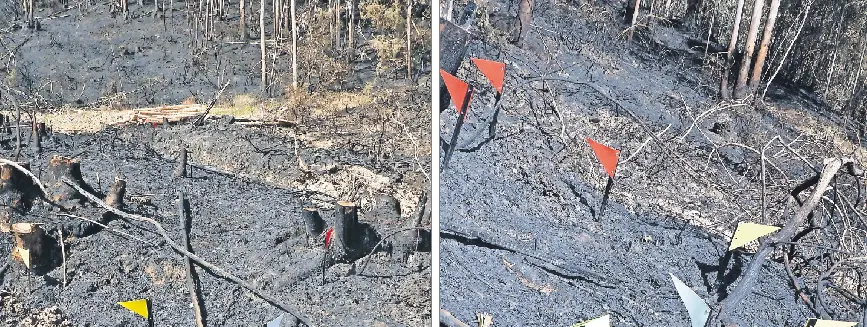 Ambos afectaron a 20 hect&aacute;reas de arbolado y monte bajo. / G. CIVIL
