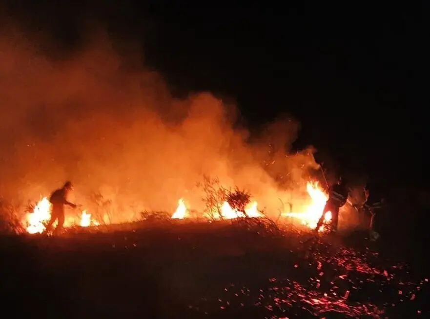 Archivo - Incendio forestal