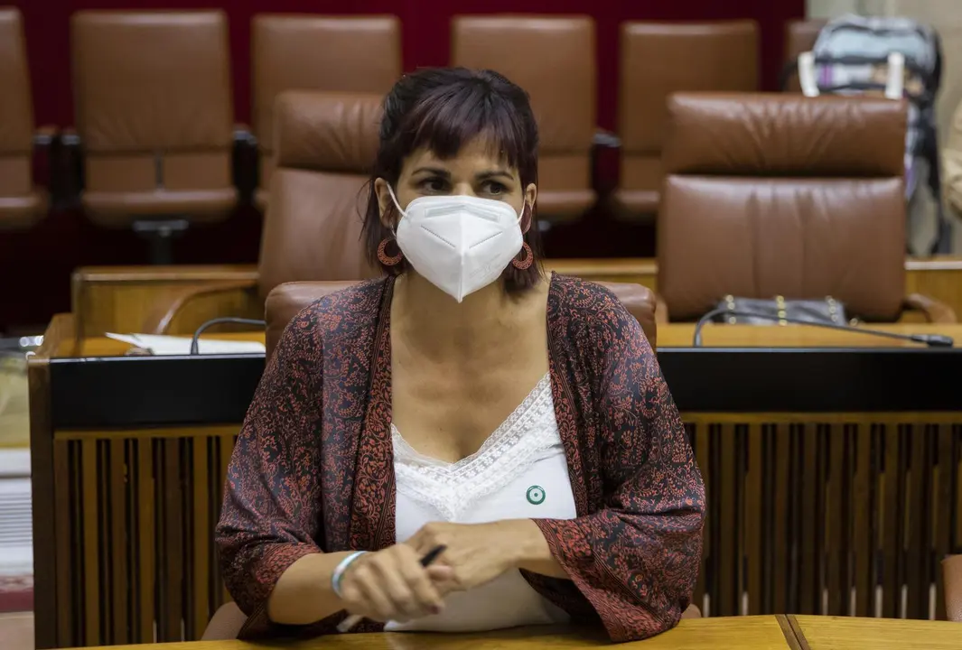 La diputada no adscrita Teresa Rodr&iacute;guez