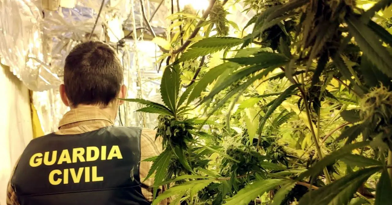 Un agente de la Guardia Civil durante la operaci&oacute;n antidroga. / OPC