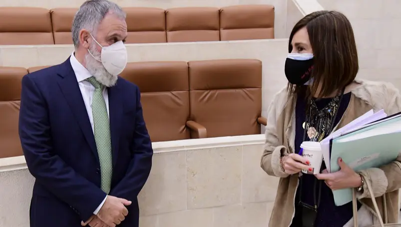 El diputado Vidal de la Pe&ntilde;a y la diputada Paula durante la sesi&oacute;n parlamentaria. / ALERTA ARCHIVO