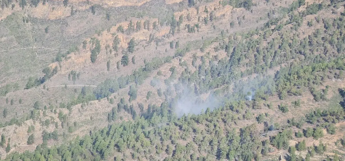 Incendio de Arico este domingo