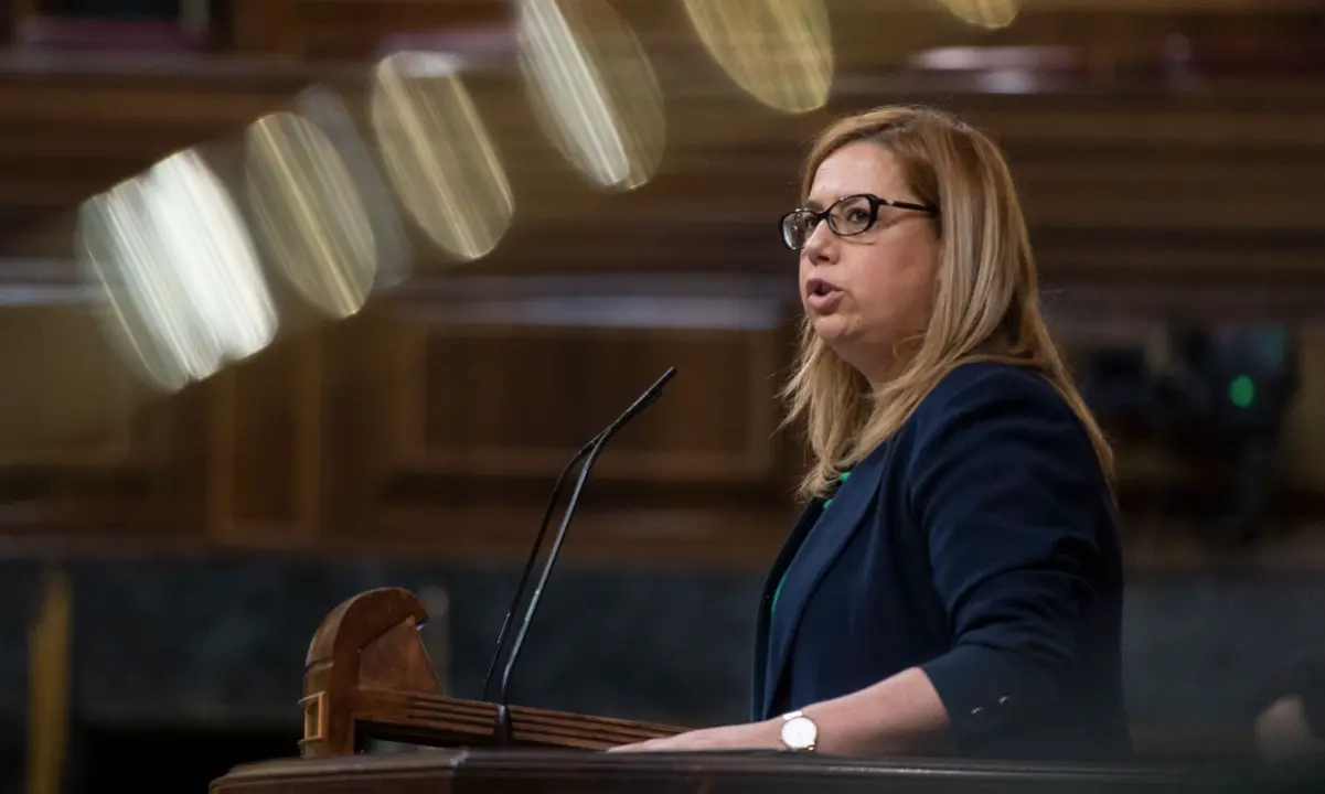 La diputada del PP por Cantabria, Elena Castillo durante su intervenci&oacute;n. / ALERTA