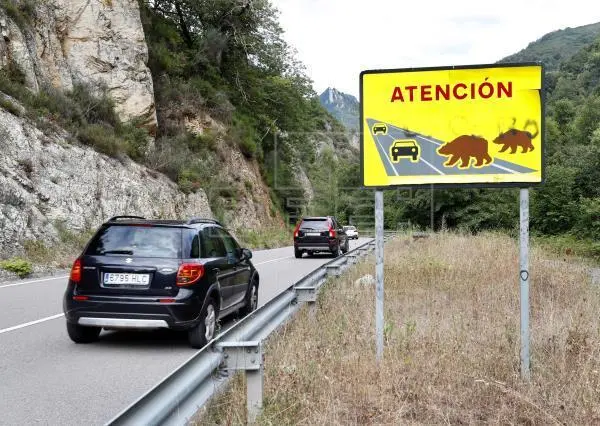Vista de un cartel de atenci&oacute;n a los animales. / ALERTA
