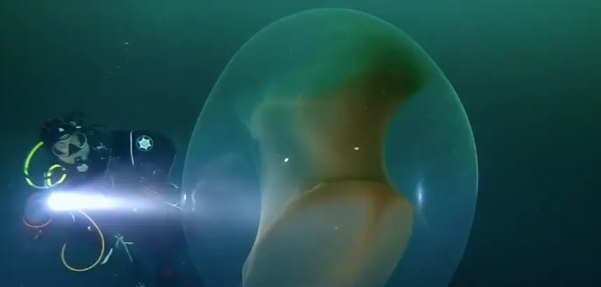 Imagen de una de las enormes esferas gelatinosas fotografiadas en el Mediterr&aacute;neo. / ANTENA 3