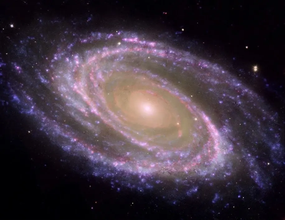 Ejemplo de galaxia espiral cercana, M81, donde se identifica f&aacute;cilmente el bulbo, la parte central m&aacute;s rojiza, y el disco, plagado de zonas donde se forman estrellas actualmente y aparecen como regiones azules formando brazos espirales.