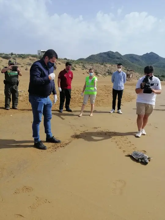 Liberan a una tortuga en Calblanque tras ser tratada en el centro de recuperaci&oacute;n