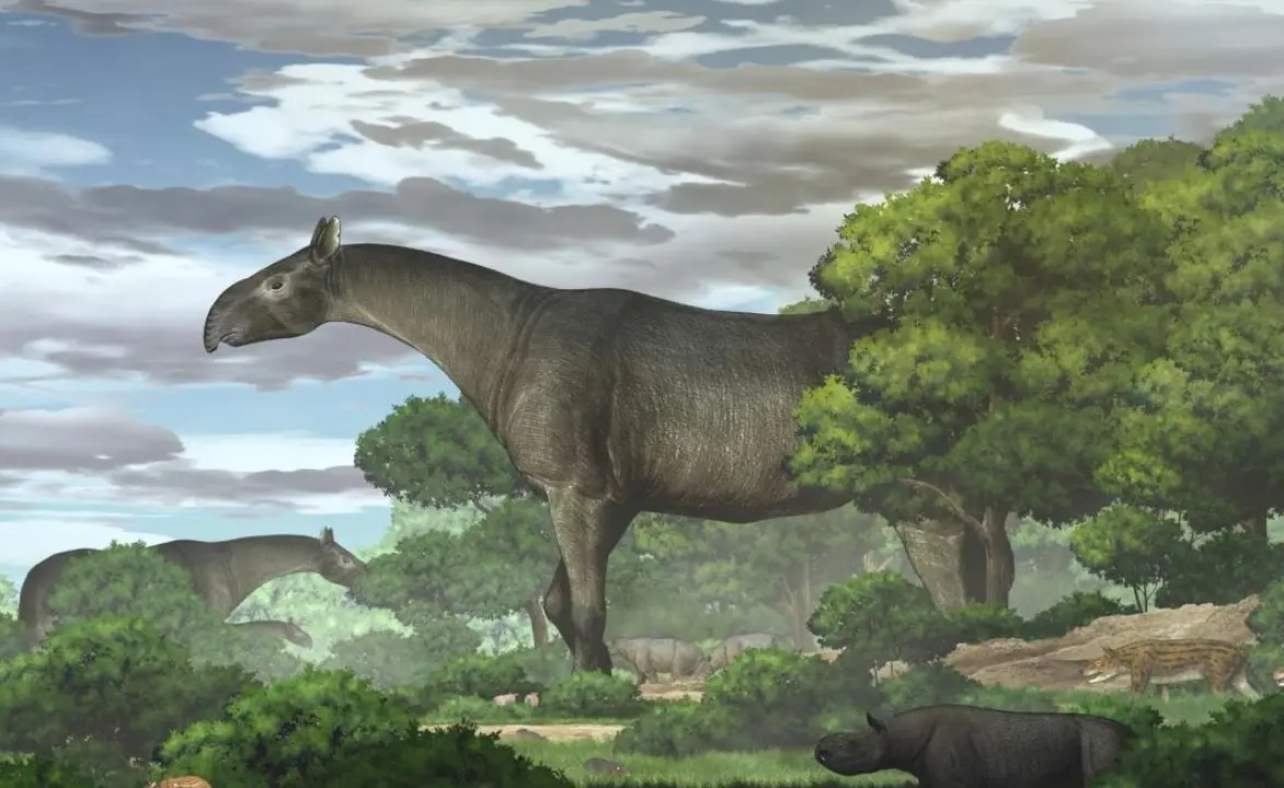 RECONSTRUCCI&Oacute;N ECOL&Oacute;GICA DE RINOS GIGANTES Y SU FAUNA ACOMPA&Ntilde;ANTE EN LA CUENCA DE LINXIA DURANTE EL OLIGOCENO