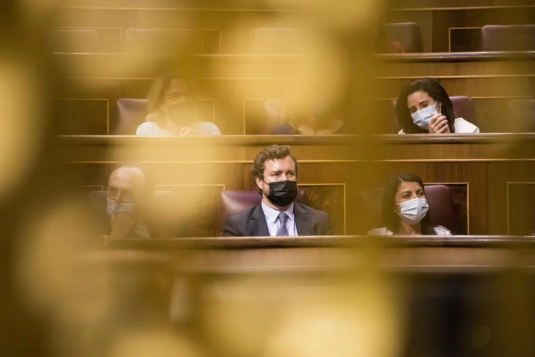 El portavoz de Vox en el Congreso, Iv&aacute;n Espinosa de los Monteros, durante una sesi&oacute;n plenaria en el Congreso de los Diputados.