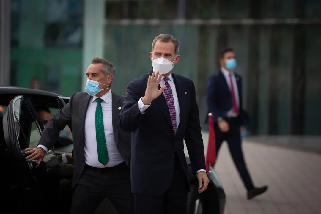 El Rey Felipe VI