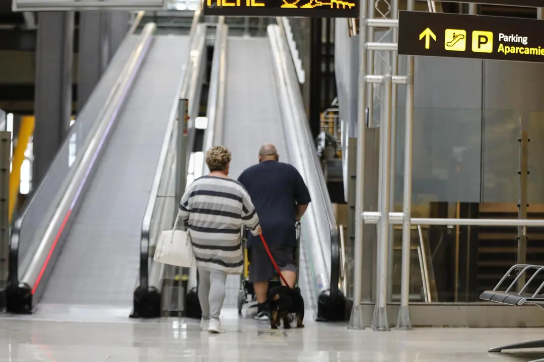Archivo - Una pareja con un perro se dispone a subir unas escaleras mec&aacute;nicas en el Aeropuerto Madrid-Barajas.