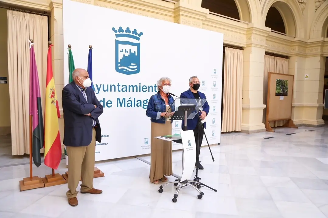 Presentaci&oacute;n del Seminario Internacional de Flamenco de M&aacute;laga