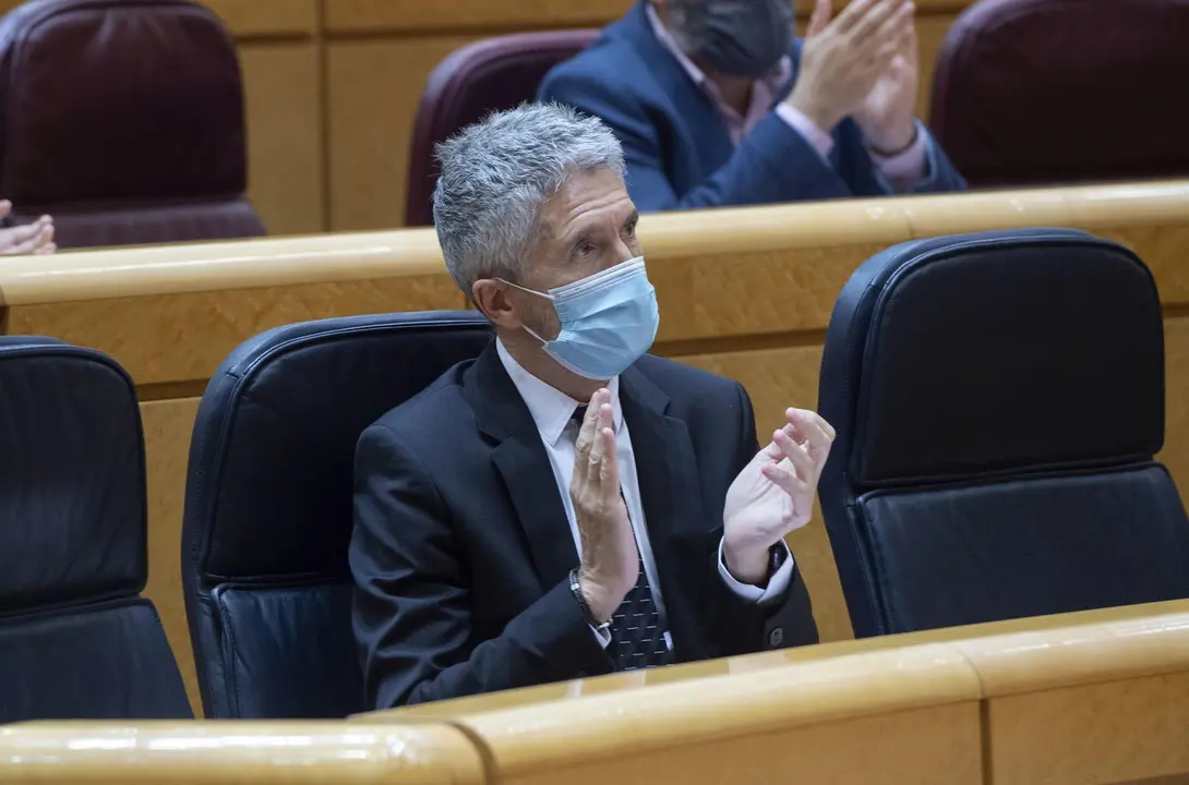 El ministro de Interior, Fernando Grande-Marlaska, durante una sesi&oacute;n de control al Gobierno en el Senado