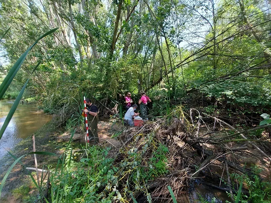 Trabajos del grupo de investigaci&oacute;n TEMSUS de la UCAV en la cuenca del Duero.