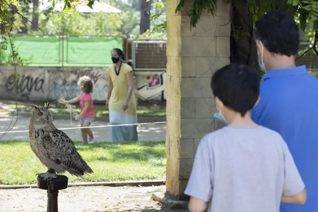 Un ni&ntilde;o y su padre observan un b&uacute;ho en El Escorial.