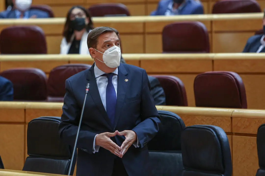 El ministro de Agricultura, Pesca y Alimentaci&oacute;n, Luis Planas, en una sesi&oacute;n de control al Gobierno el pasado 8 de junio en el Senado