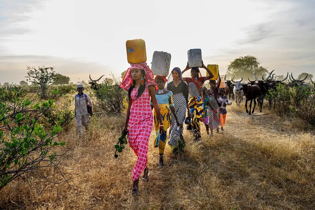 HINDOU OUMAROU IBRAHIM
2021 Rolex Awards Laureate
Hindou Oumarou Ibrahim uses indigenous peoples&rsquo; traditional knowledge to map
natural resources and prevent climate conflicts in the Sahel.