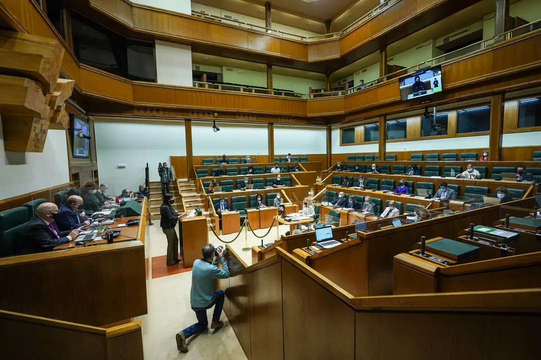Archivo - PNV y PSE rechazan una propuesta que ped&iacute;a soluciones para las personas con enfermedad mental "excluidas" de la RGI