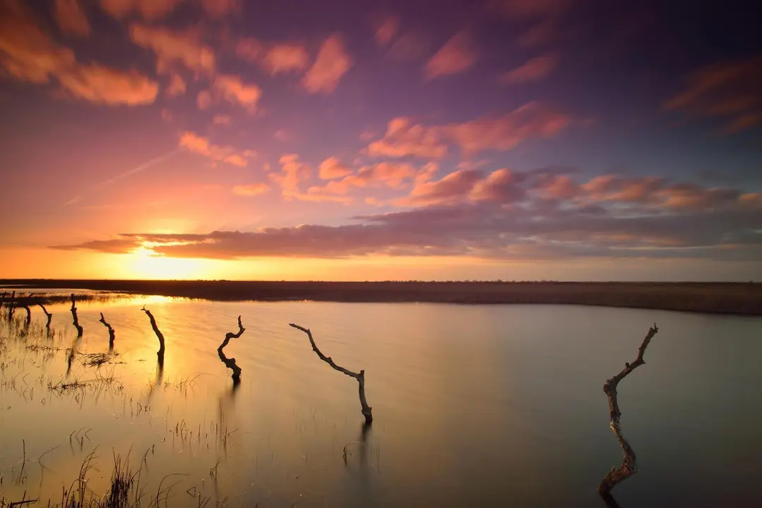 Archivo - Humedal del Parque Nacional de Do&ntilde;ana (Huelva).