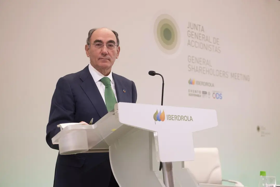 El presidente de Iberdrola, Ignacio Gal&aacute;n, en la junta de la compa&ntilde;&iacute;a