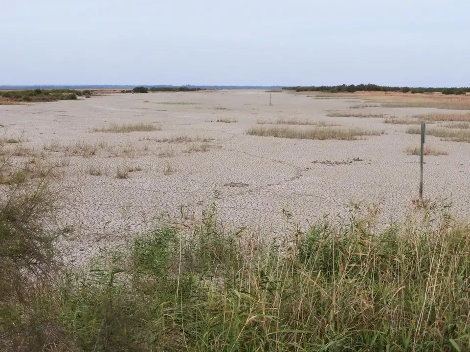 Imagen de Do&ntilde;ana.