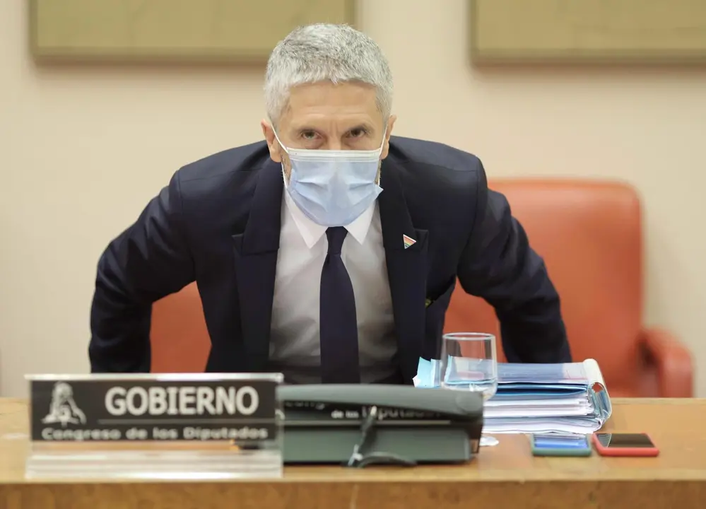 El ministro del Interior, Fernando Grande-Marlaska, a su llegada a la Comisi&oacute;n de Interior del Congreso