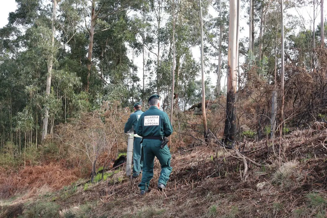 Archivo - Inspecci&oacute;n ocular en el incendio forestal declarado en Covadonga.