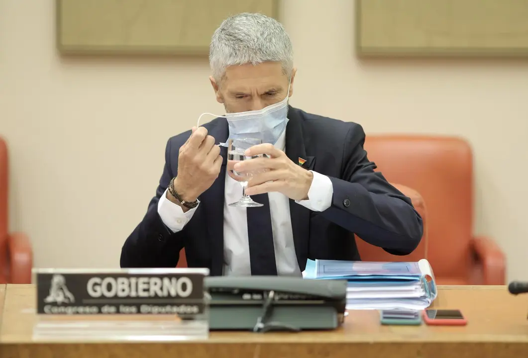 El ministro del Interior, Fernando Grande-Marlaska, en el Congreso