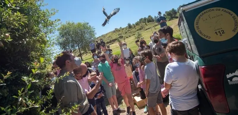 Suelta de aves en el marco del programa de voluntariado 'Ay&uacute;dale a volar' y de ejemplares atendidos en el Centro de Recuperaci&oacute;n de Fauna Silvestre de La Fombera.