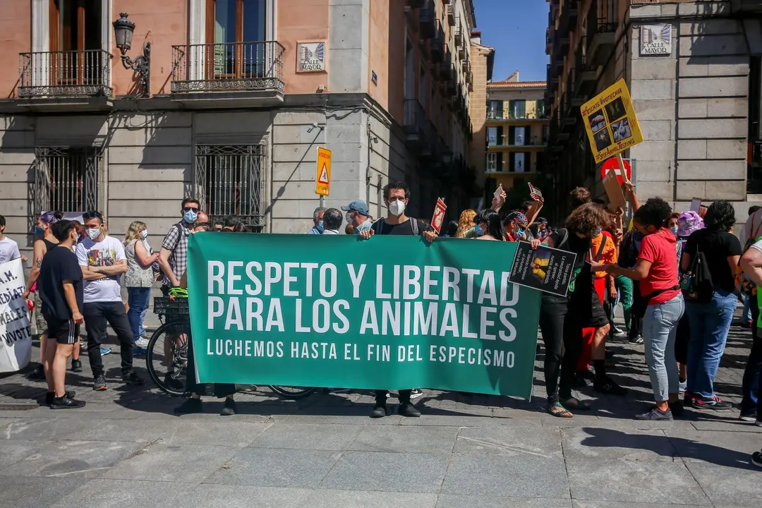 Varias personas participan en una manifestaci&oacute;n para exigir el rescate de los animales de Laboratorios Vivotecnia, a 29 de mayo de mayo de 2021, en Madrid (Espa&ntilde;a). 