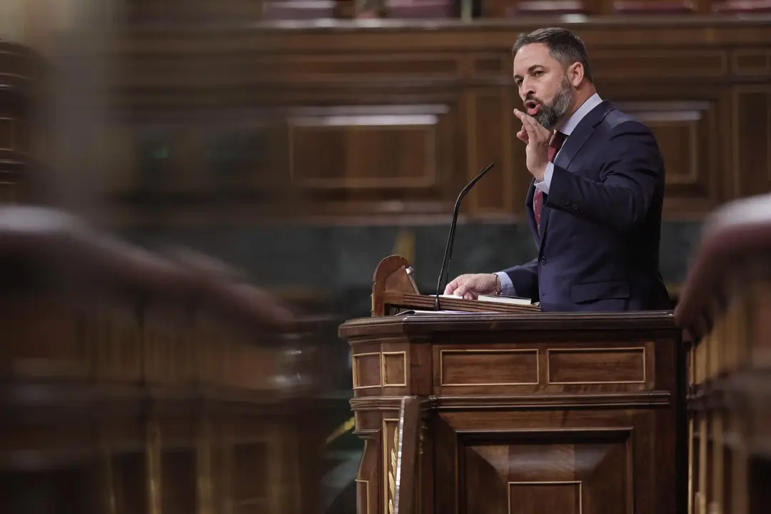 El l&iacute;der de Vox, Santiago Abascal, en el Pleno del Congreso