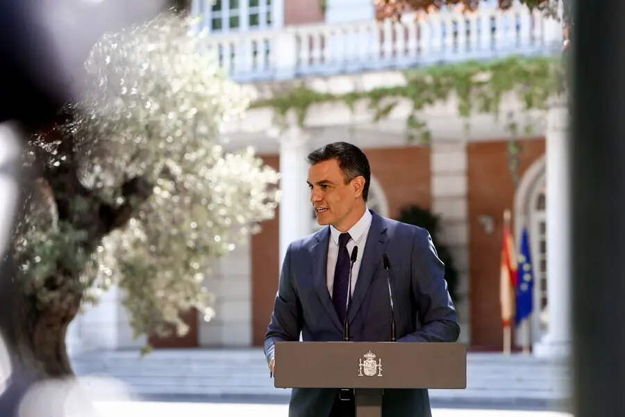 El presidente del Gobierno, Pedro S&aacute;nchez