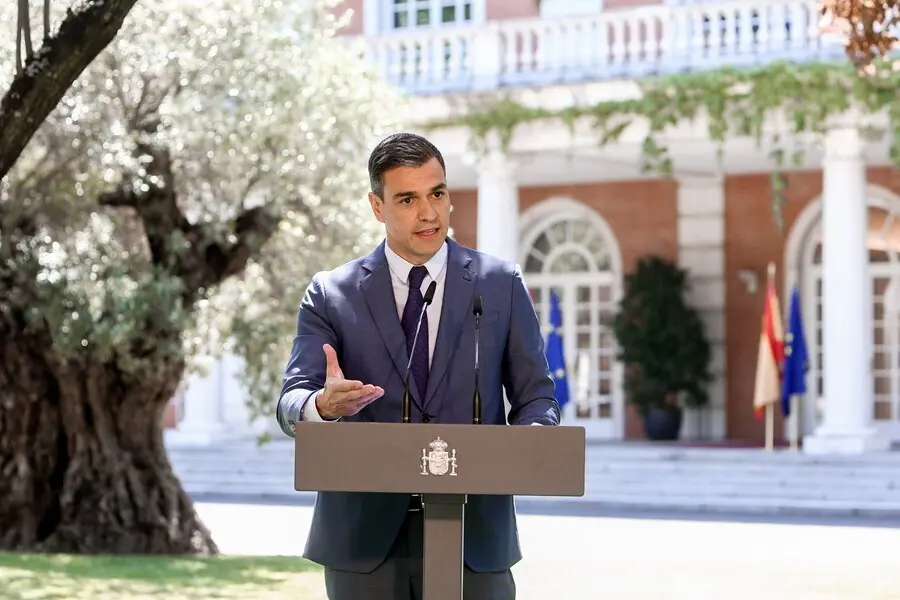 El presidente del Gobierno, Pedro S&aacute;nchez