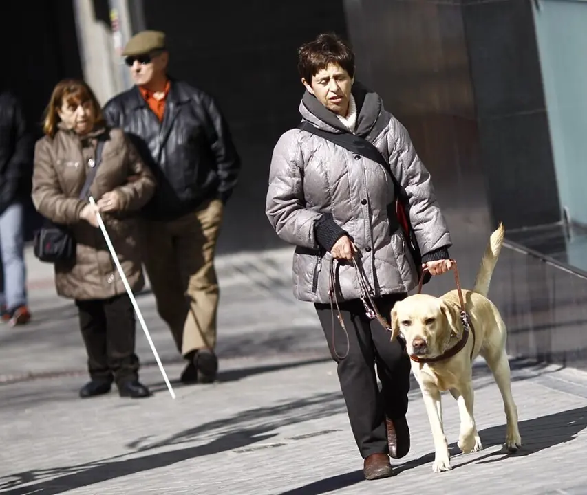 Archivo - Discapacidad, discapacitado, ciego, personas ciegas con perro gu&iacute;a, lazarillo