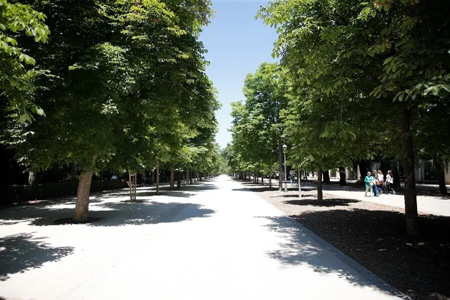 Archivo - Imagen de recurso del un paseo con &aacute;rboles y vegetaci&oacute;n
