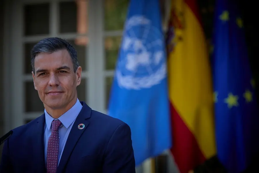 El presidente del Gobierno, Pedro S&aacute;nchez