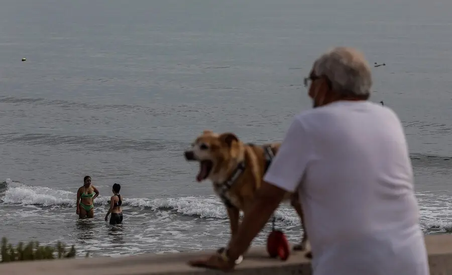 Archivo - Un hombre con su perro en Playa de la Malva-rosa