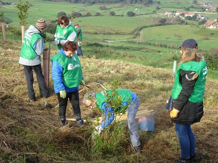 Actividad de voluntariado ambiental en Bezana