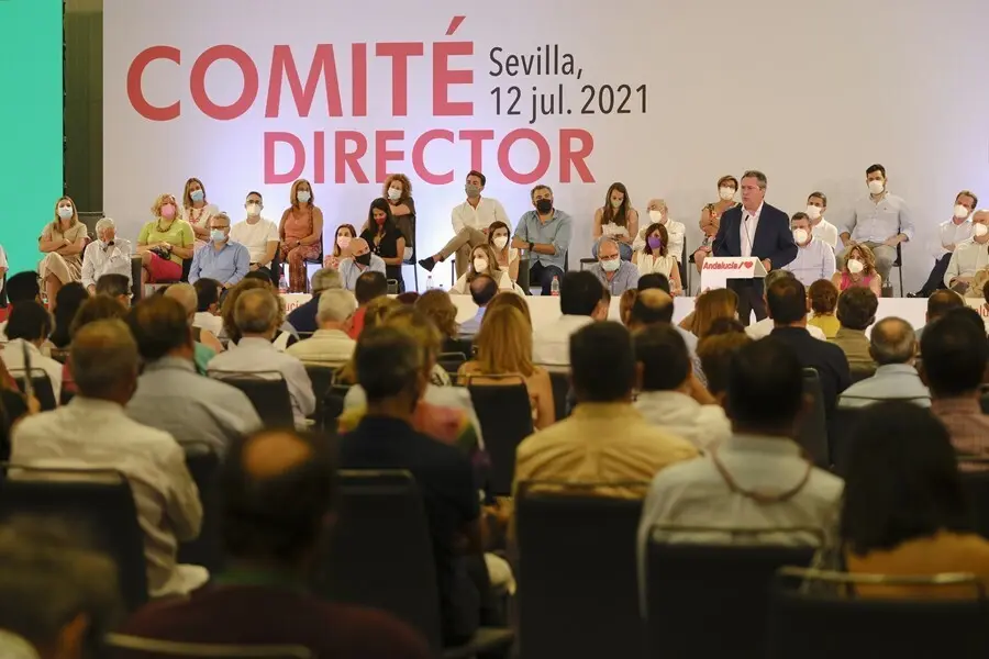 Archivo - El candidato del PSOE-A a la Junta, Juan Espadas, interviene este lunes ante el Comit&eacute; Director del PSOE-A celebrado en Sevilla.