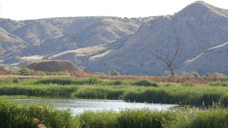 Piden firmas para que se protejan los humedales de Soto Guti&eacute;rrez en Ciempozuelos, amenazados por obras de drenaje