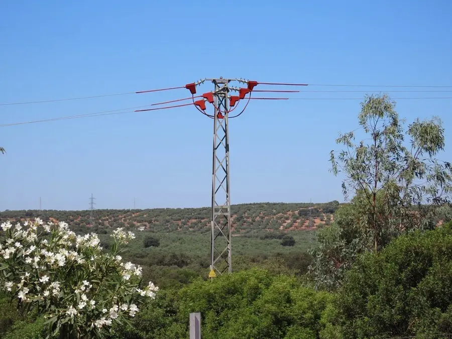 Uno de los apoyos, ya aislado, del tendido el&eacute;ctrico corregido en la provincia de Ja&eacute;n.