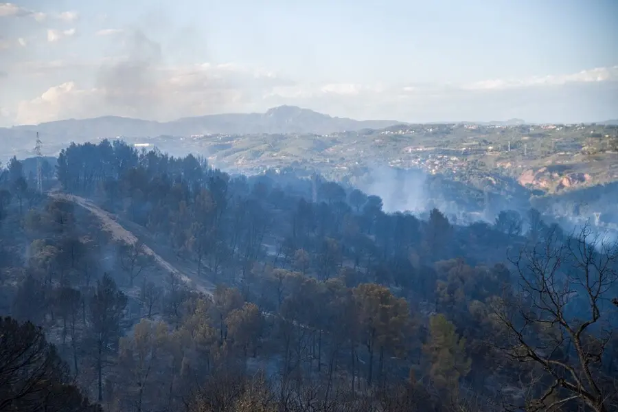Zona afectada por el incendio en los municipios de Castellv&iacute; de Rosanes y Martorell (Barcelona).