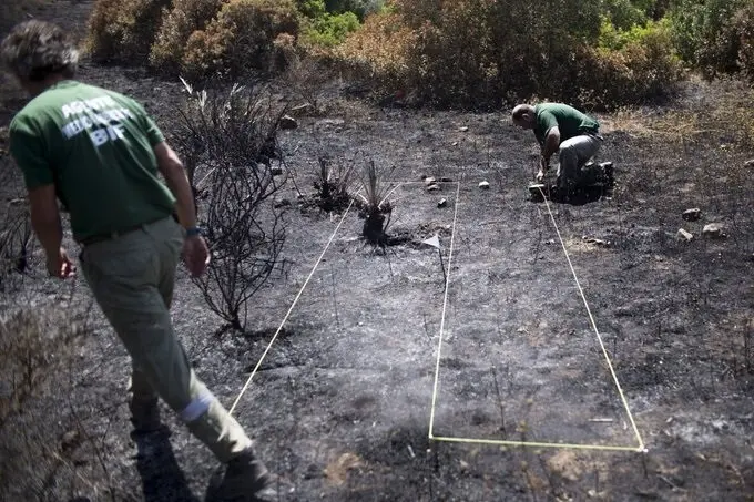 Efectivos de las brigadas de investigaci&oacute;n de incendios forestales realizando su labor.