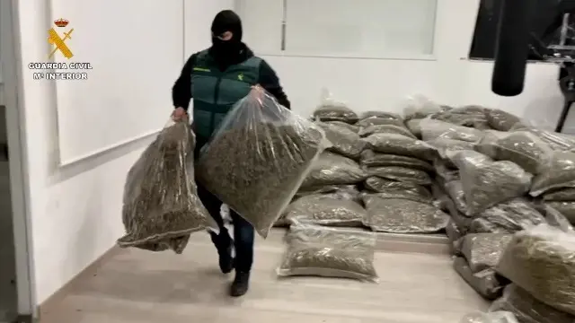 La Guardia Civil halla en una nave de La Mojonera (Almer&iacute;a) 5.674 kilos de cogollos de marihuana envasada en el marco de la 'operaci&oacute;n Imprevisto'.