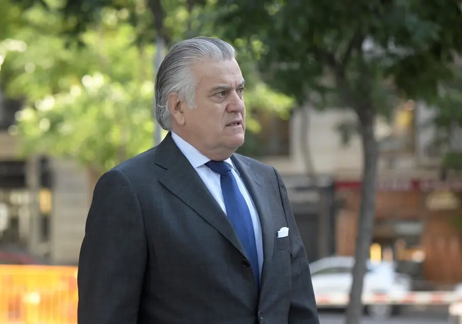 El ex tesorero del PP Luis B&aacute;rcenas comparece en la Audiencia Nacional en el marco de la investigaci&oacute;n sobre las presuntas donaciones finalistas a la 'caja b'.
