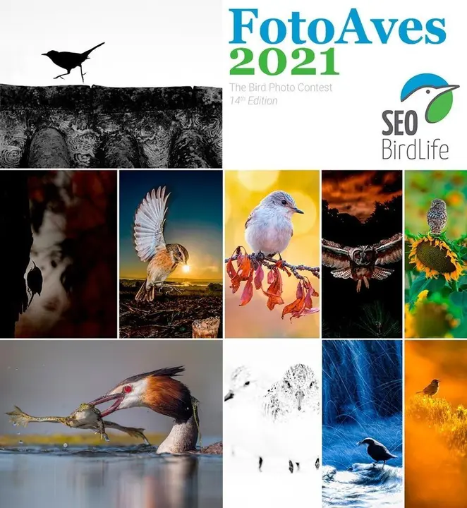 Cartel promocional del concurso fotogr&aacute;fico de SEO/BirdLife