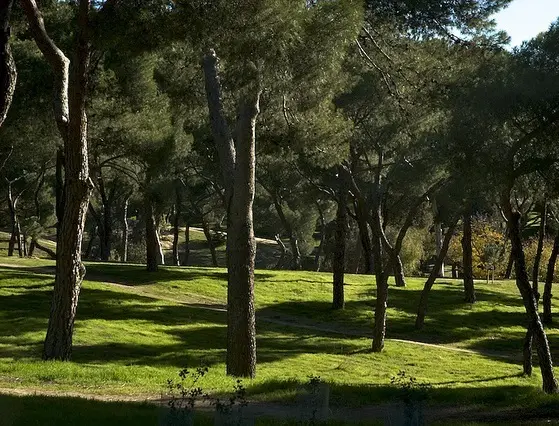 Archivo - Im&aacute;gen de archivo de la Dehesa de la Villa, en el distrito madrile&ntilde;o de Moncloa-Aravaca