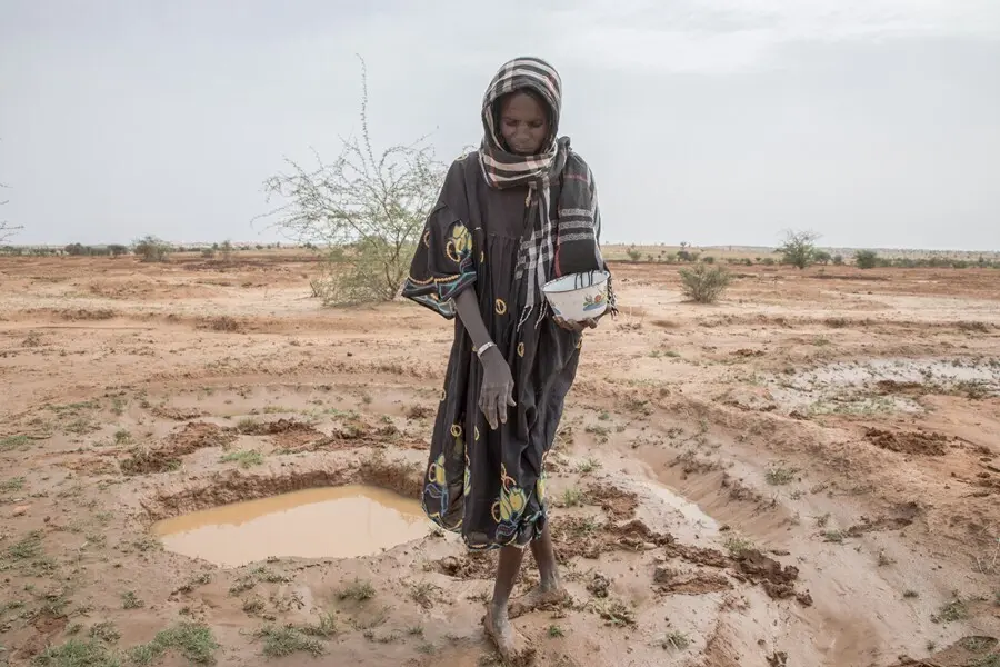 Archivo - Una mujer plantando en la regi&oacute;n de Tahoua, en N&iacute;ger