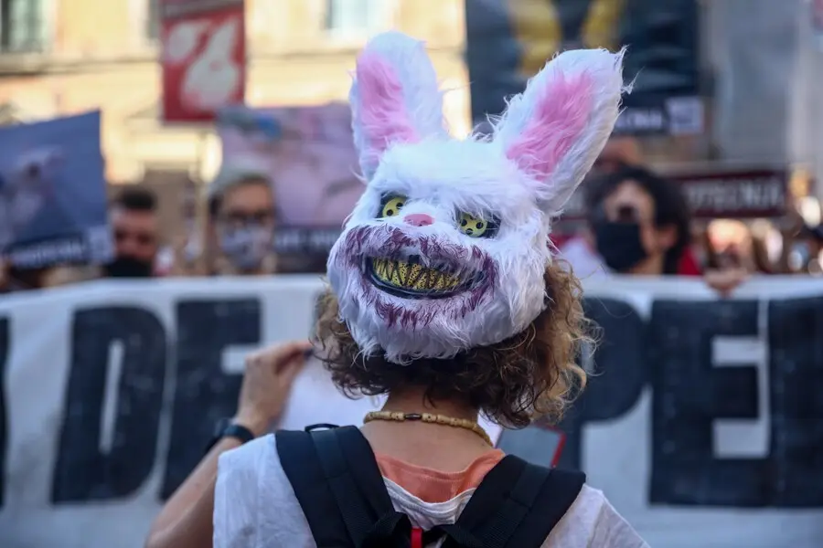 Archivo - Varias personas participan en una manifestaci&oacute;n para exigir el rescate de los animales de Laboratorios Vivotecnia.
