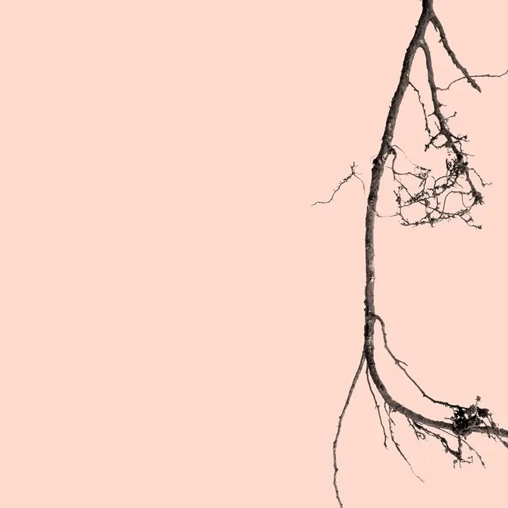 Imagen del espect&aacute;culo &lsquo;Trencad&iacute;s&rsquo;, la primera propuesta art&iacute;stica de la Orquestra de M&uacute;siques d&rsquo;Arrel de Catalunya
